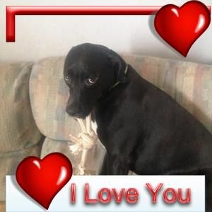 Meet your Posher, Nikki